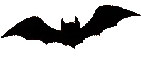 bat
