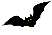 bat